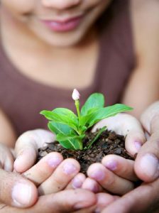 Opération Produits locaux, Développement durable